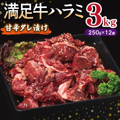 満足牛ハラミ　甘辛タレ漬け 合計3kg　牛肉 味付け 小分け 焼肉 焼くだけ　099H3714