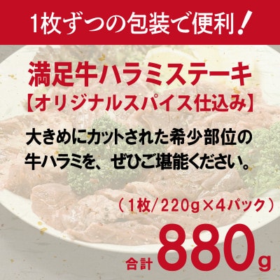 満足牛ハラミステーキ オリジナルスパイス仕込 合計880g 牛肉 小分け 焼肉 010B1722