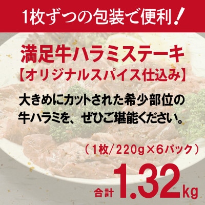 満足牛ハラミステーキ オリジナルスパイス仕込 合計1.32kg 牛肉 小分け 焼肉 015B501