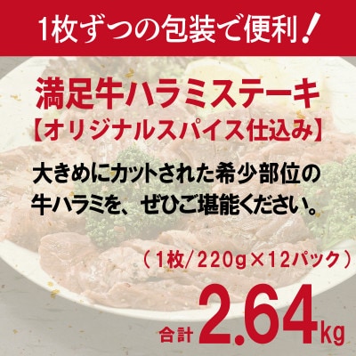 満足牛ハラミステーキ オリジナルスパイス仕込 合計2.64kg 牛肉 小分け 焼肉 099H3705
