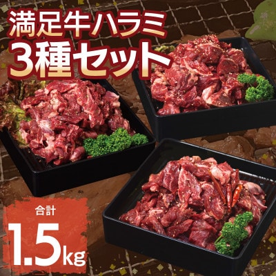 満足牛ハラミ3種セット(甘辛・中辛・オリジナルスパイス)各2袋 合計1.5kg 015B500