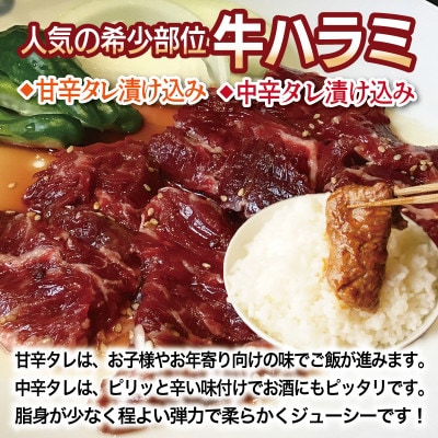 満足牛ハラミ3種セット(甘辛・中辛・オリジナルスパイス)各2袋 合計1.5kg 015B500
