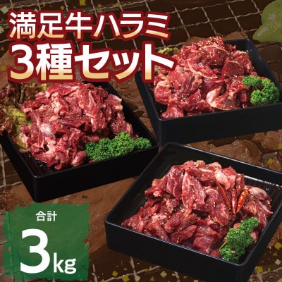 満足牛ハラミ3種セット(甘辛・中辛・オリジナルスパイス)各4袋 合計3kg 099H3702