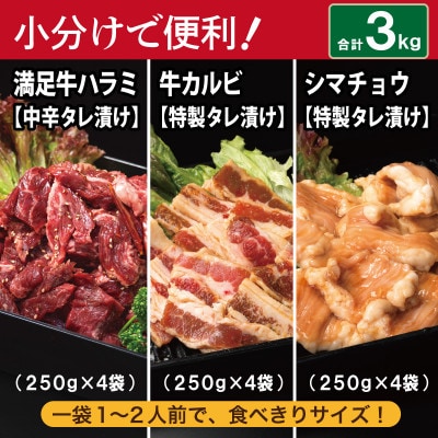 タレ漬け3種の牛焼肉セット 牛ハラミ・カルビ・シマチョウ(各4P)合計3kg 099H3716