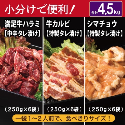 タレ漬け3種の牛焼肉セット 牛ハラミ・カルビ・シマチョウ(各6P) 合計4.5kg 099H3717