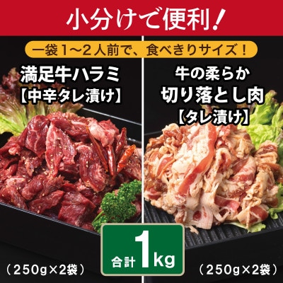 タレ漬け牛肉2種セット 牛ハラミ・牛切落とし(各2P) 合計1kg 010B1726