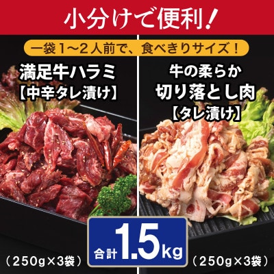 タレ漬け牛肉2種セット 牛ハラミ・牛切落とし(各3P) 合計1.5kg 015B505