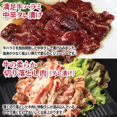 タレ漬け牛肉2種セット 牛ハラミ・牛切落とし(各9P) 合計4.5kg 099H3718