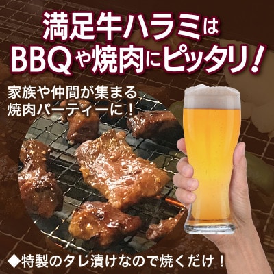 タレ漬け牛肉2種セット 牛ハラミ・牛切落とし(各9P) 合計4.5kg 099H3718
