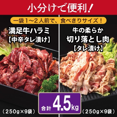 タレ漬け牛肉2種セット 牛ハラミ・牛切落とし(各9P) 合計4.5kg 099H3718