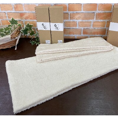 泉州タオル「抗菌&防臭・抗ウイルス」ハイブリッド触媒加工タオルセット  099H032
