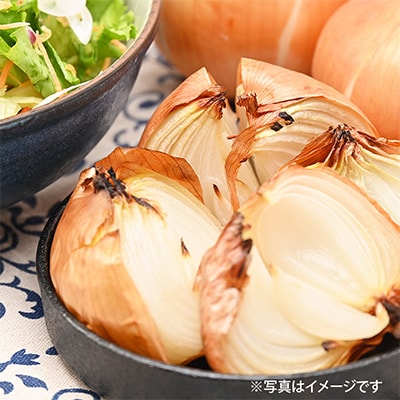 射手矢さんちの泉州たまねぎ 5kgとドレッシング 500ml×1本 G1302