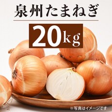 大阪府泉佐野市産泉州たまねぎ20kg 010B135 | ふるさと納税のお礼品