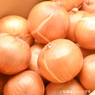 射手矢さんちの玉ねぎスープ 10食×6箱 G1307