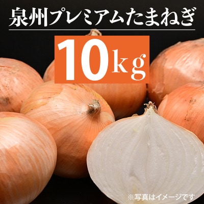 射手矢さんちの泉州プレミアムたまねぎ 10kg G1317