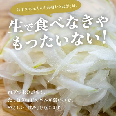 射手矢さんちの泉州プレミアムたまねぎ5kgとドレッシング 200ml×1本 G1319