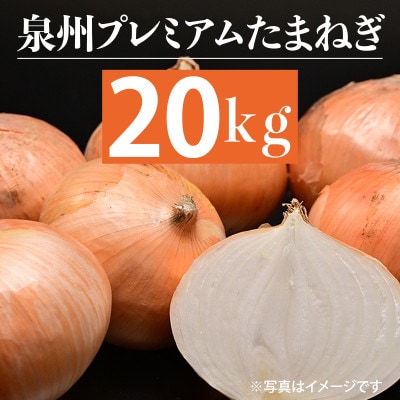 射手矢さんちの泉州プレミアムたまねぎ 20kg  G1320