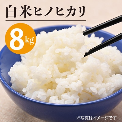 射手矢さんちのヒノヒカリ 白米 8kg G851