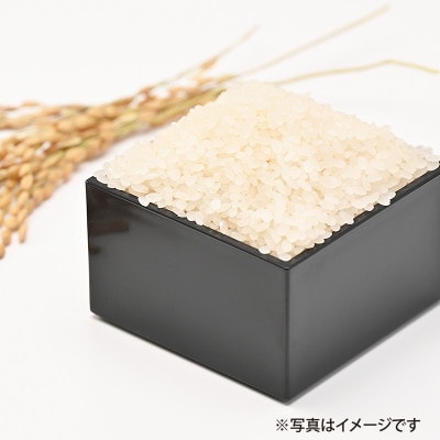 射手矢さんちのヒノヒカリ 白米 8kg G851
