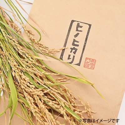 射手矢さんちのヒノヒカリ 白米 8kg G851