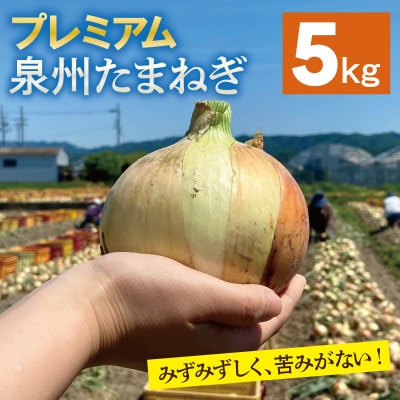 プレミアム 泉州たまねぎ 5kg(10〜15玉) G3526