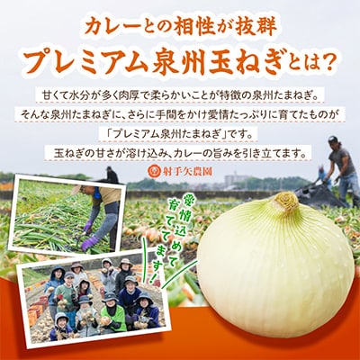 射手矢農園 カレー 2箱セット G3705