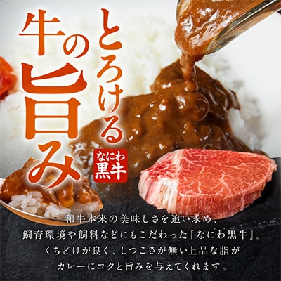 射手矢農園 カレー 5箱セット G3706