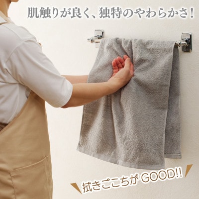 国産 フェイスタオル 10枚 ナチュレル グレーセット 泉州タオル G1539