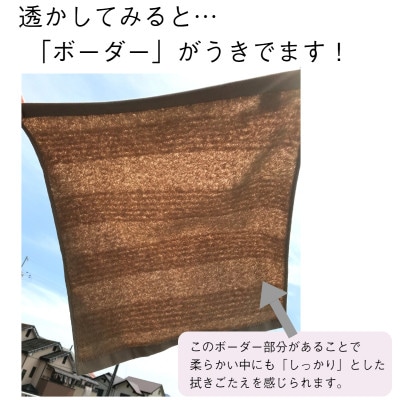 国産 フェイスタオル 10枚 ナチュレル グレーセット 泉州タオル G1539