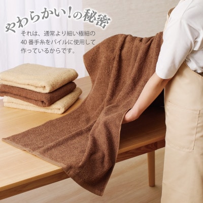 国産 バスタオル 4枚 ナチュレル ブラウンセット 泉州タオル G1537