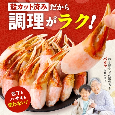 ボイル本ズワイ蟹爪肉 たっぷり1kg カット済み 2Lサイズ(3-4人前) G1845