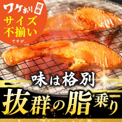 銀鮭切身 2kg(約18切れ)訳あり 規格外 サーモン