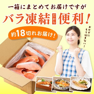 銀鮭切身 2kg(約18切れ)訳あり 規格外 サーモン