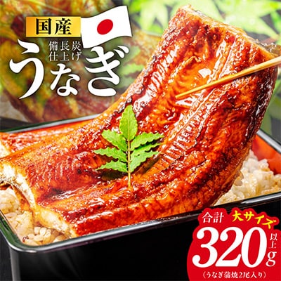 【特別規格】国産うなぎ蒲焼 320g以上(大サイズ2尾)