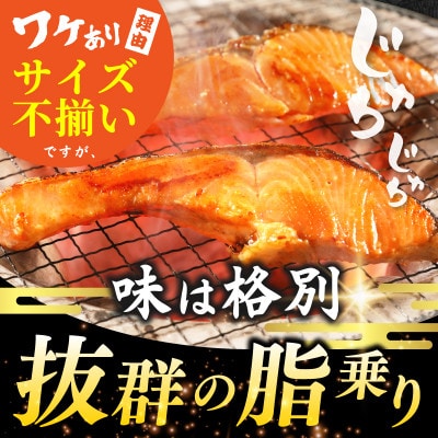 【訳あり】銀鮭切り身 3kg(約27切れ)サイズ不揃い 家庭用