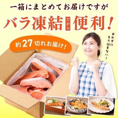【訳あり】銀鮭切り身 3kg(約27切れ)サイズ不揃い 家庭用
