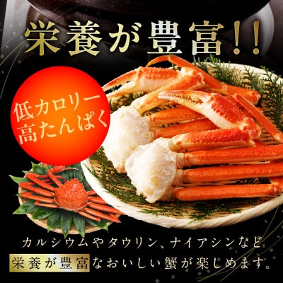 生ずわい蟹 約2kg 5Lサイズ 4肩前後 昆布仕立て G1836