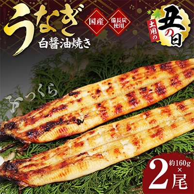【土用の丑の日】国産 うなぎ 白焼き 2尾 せいろ蒸し 備長炭仕上げ 先行予約 kgp0041-1d