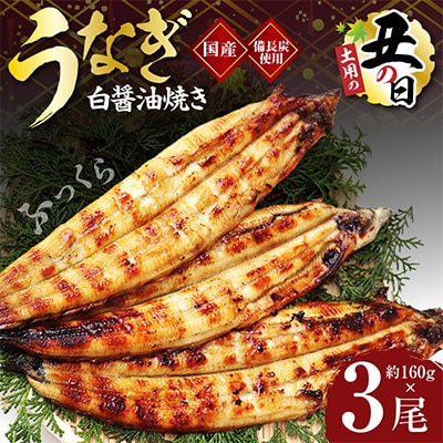 【土用の丑の日】国産 うなぎ 白焼き 3尾 せいろ蒸し 備長炭仕上げ 先行予約 kgp0042-1d