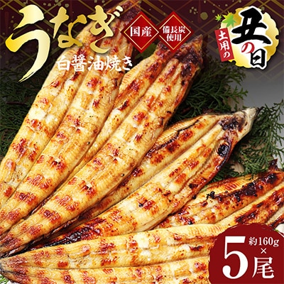 【土用の丑の日】国産 うなぎ 白焼き 5尾 せいろ蒸し 備長炭仕上げ 先行予約 kgp0043-1d