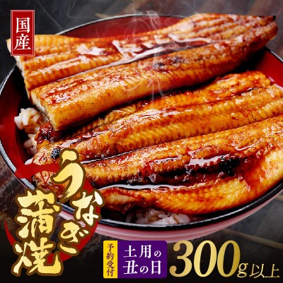 【土用の丑の日】大サイズ 国産うなぎ 2尾 合計300g以上 先行予約 099H2640d