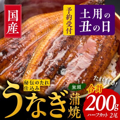 【土用の丑の日】国産うなぎ ハーフカット 合計 200g 蒲焼 訳あり 先行予約 099H2639d