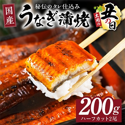 【土用の丑の日】国産うなぎ ハーフカット 合計 200g 蒲焼 訳あり予約 kgp0037-1d