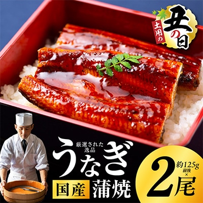 【土用の丑の日】国産うなぎ 約125g×2尾 秘伝のたれ 蒲焼 先行予約 kgp0039-1d