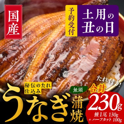 【土用の丑の日】国産うなぎ 230g(鰻1尾 130g+ハーフカット 100g)099H2642d