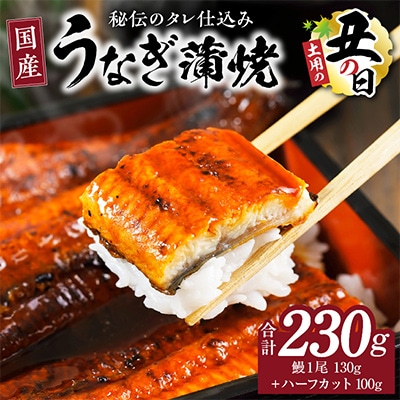 【土用の丑の日】国産うなぎ 230g(1尾 130g+ハーフカット 100g) kgp0040-1d