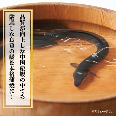 【土用の丑の日】厳選うなぎ 蒲焼き 320g(約160g×2尾)中国産 先行予約 099H856d