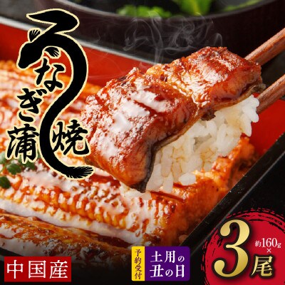 【土用の丑の日】厳選うなぎ 蒲焼き 480g(約160g×3尾)中国産 先行予約 099H852d