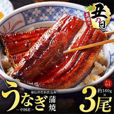 【土用の丑の日】厳選うなぎ 蒲焼き 480g(約160g×3尾)中国産予約 kgp0066-1d