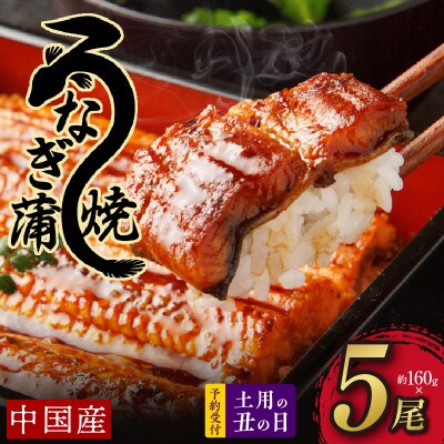 【土用の丑の日】厳選うなぎ 蒲焼き 800g(約160g×5尾)中国産 先行予約 020C220d